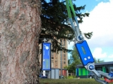 TRU樹木雷達、Picus 3和TreeQinetic落戶長春市園林植物保護站