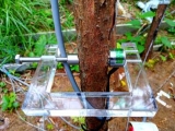 PSY水勢儀和DD-S莖稈測量儀在葉樹馬尾松上順利安裝