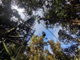 亞熱帶森林生態系統長期觀測與研究暨哀牢山站建站四十周年學術研討會成功舉辦