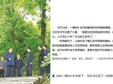 古樹名木保護(hù) 檢測(cè)、修復(fù)&復(fù)壯案例賞析