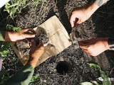 土壤碳中和實現與氣候變化應對