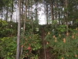 福建汀江源國家級自然保護區管理局維保服務順利完成